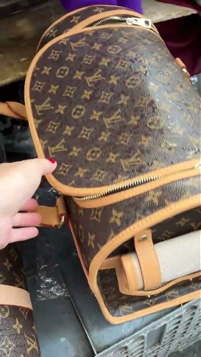 louis vuitton köpek taşıma çantası